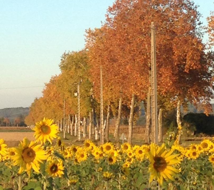 Photo of Others in Lagarde-Hachan