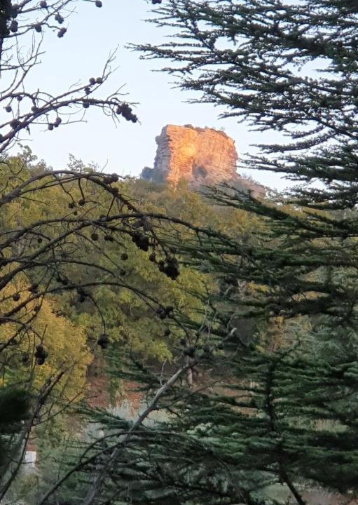 Photo of Others in Saignon