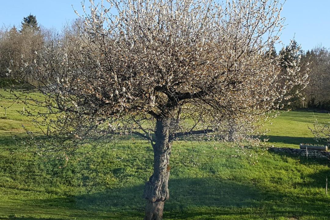 Photo of Outdoor in Saint-Martin-en-Vercors