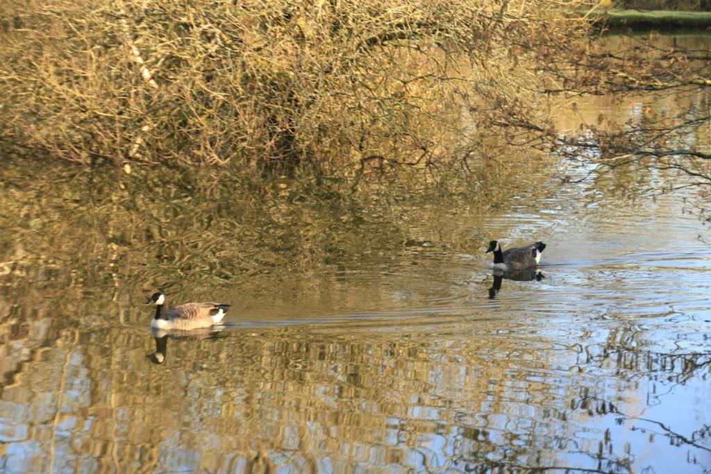 Photo of Others in St Wenn