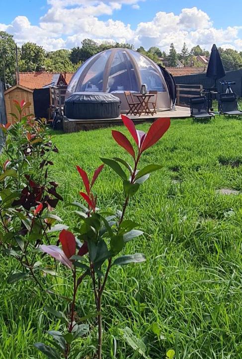 Photo of Others in Ames