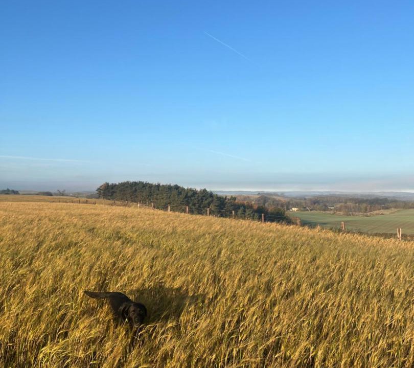 Photo of Others in Cornhill on Tweed