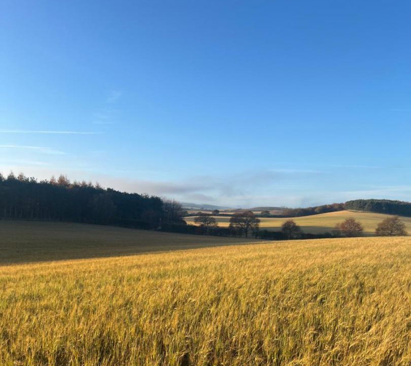 Photo of Others in Cornhill on Tweed