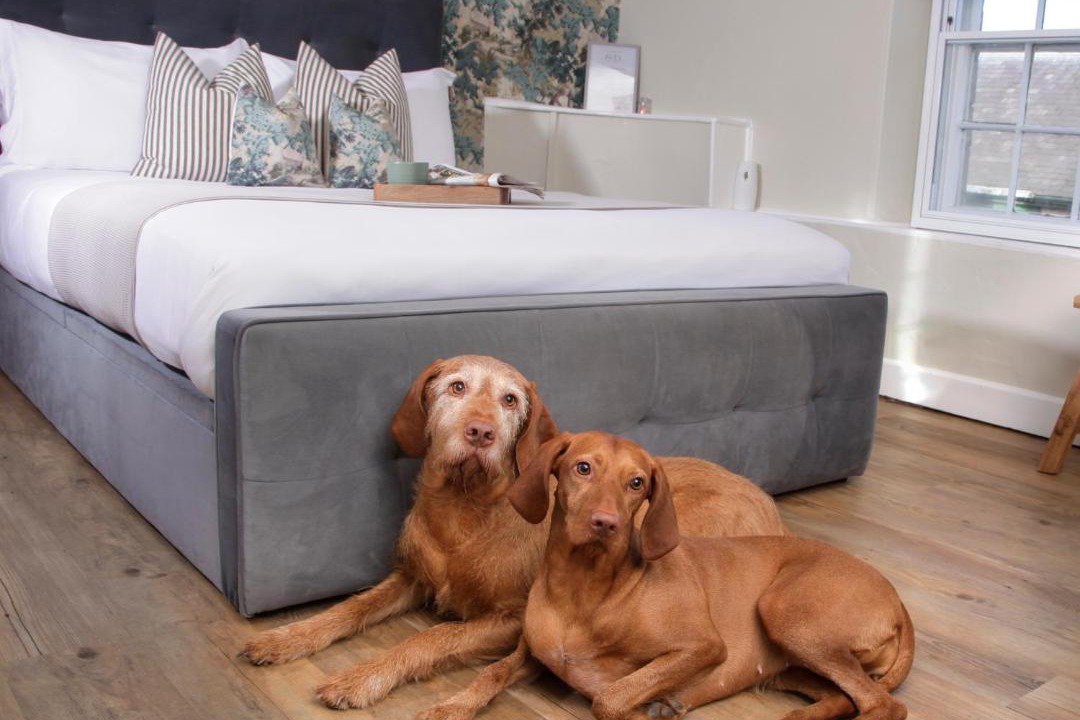 Photo of Others in Belper