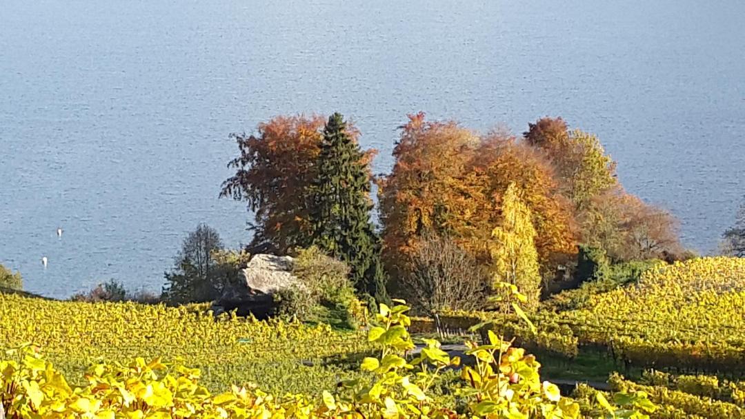 Photo of Others in Spiez