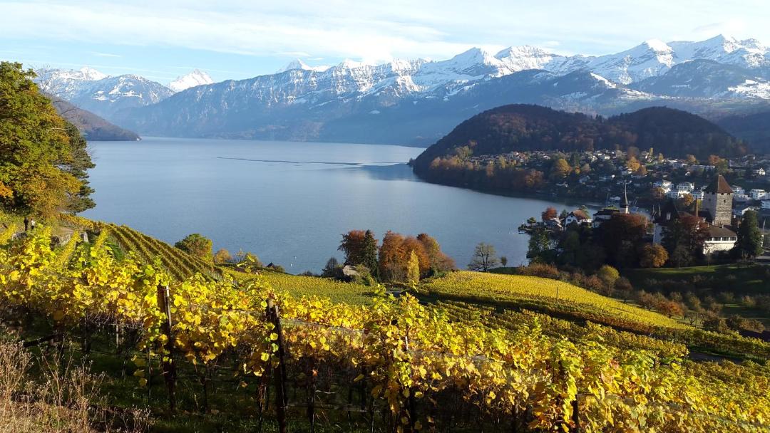 Photo of Others in Spiez