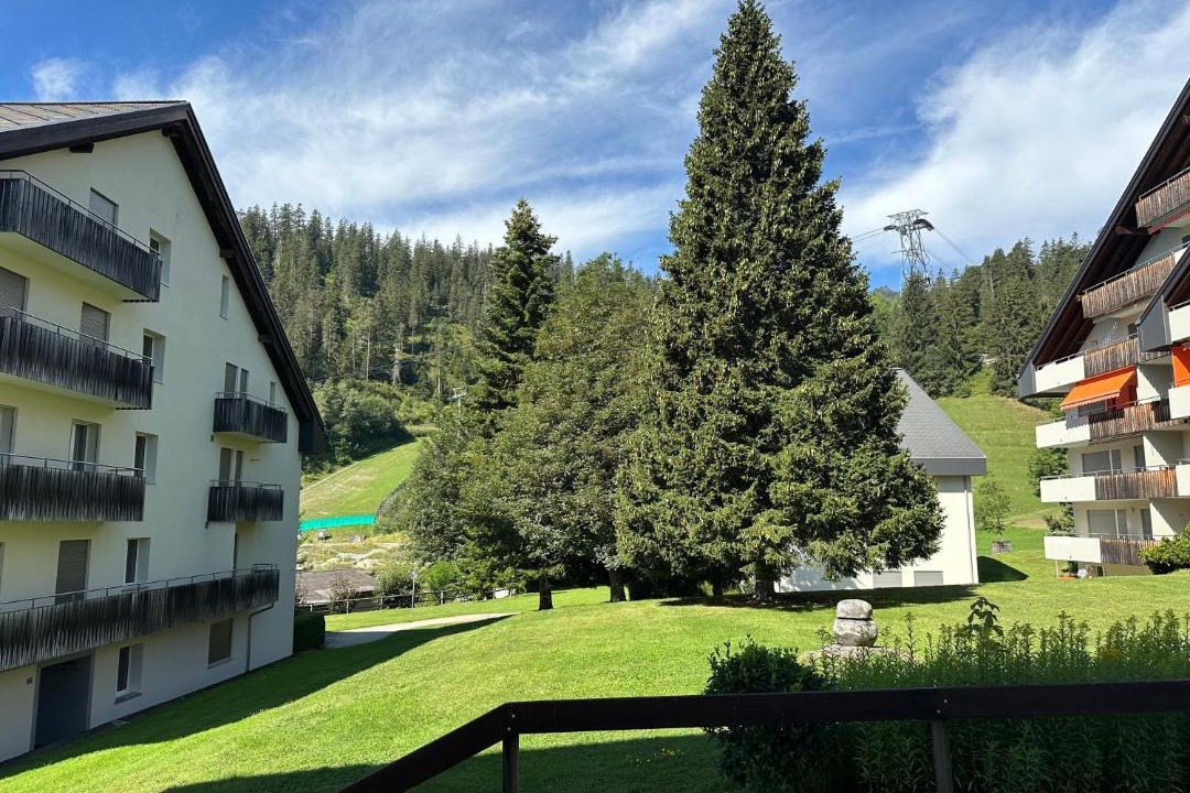 Photo of Others in Laax