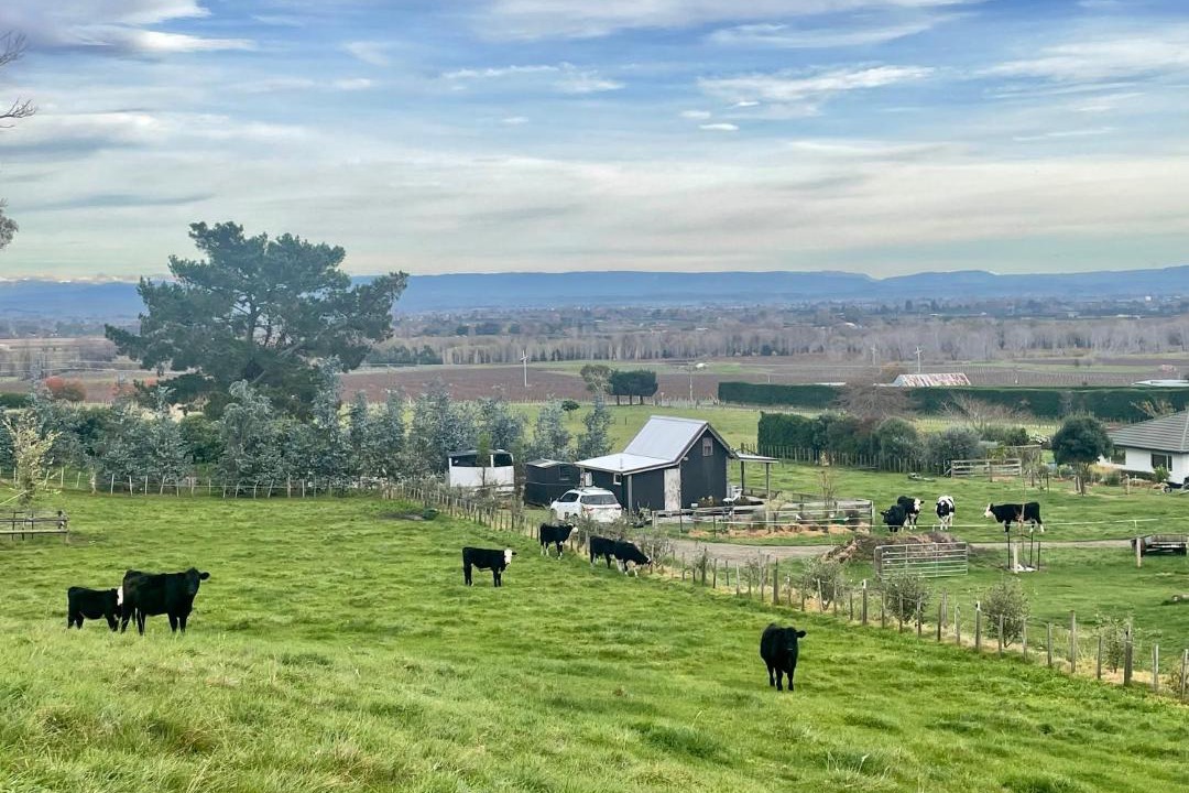 Photo of Others in Haumoana