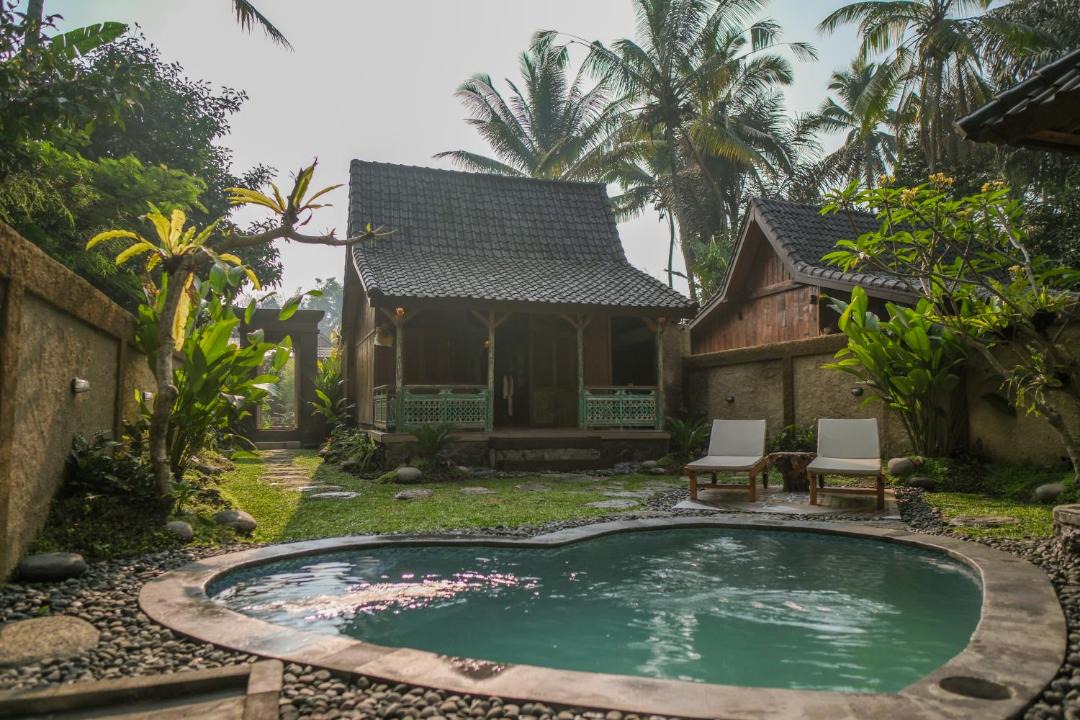 Photo of Others in Taro