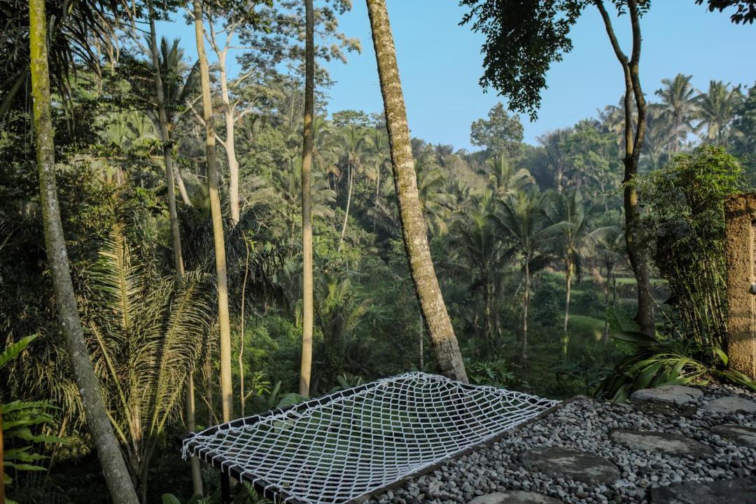 Photo of Others in Taro