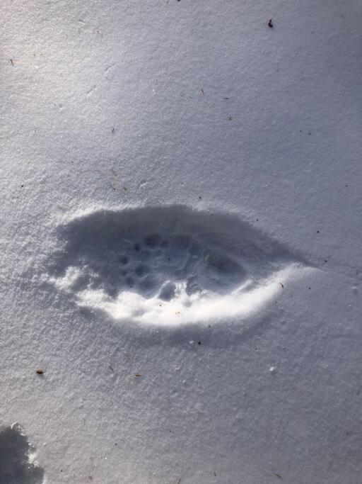 Photo of Others in Johnsburg