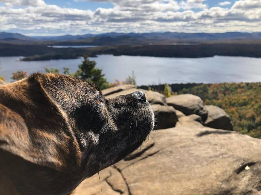 Photo of Others in Johnsburg