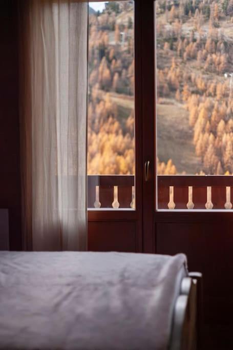 Photo of Others in Isola