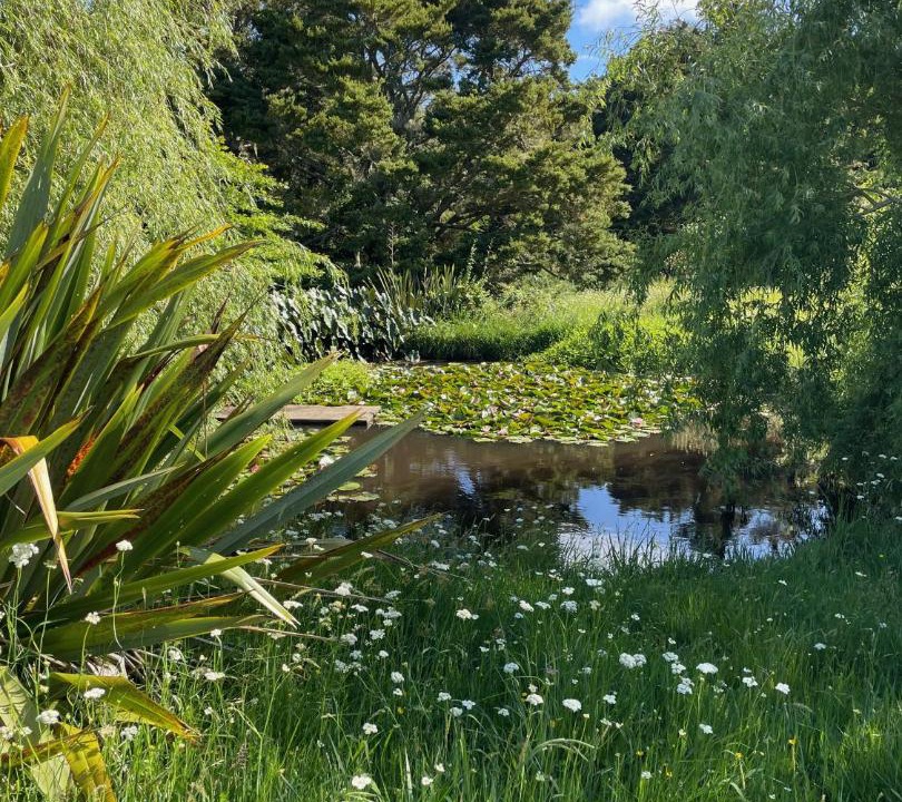 Photo of Others in Matakana