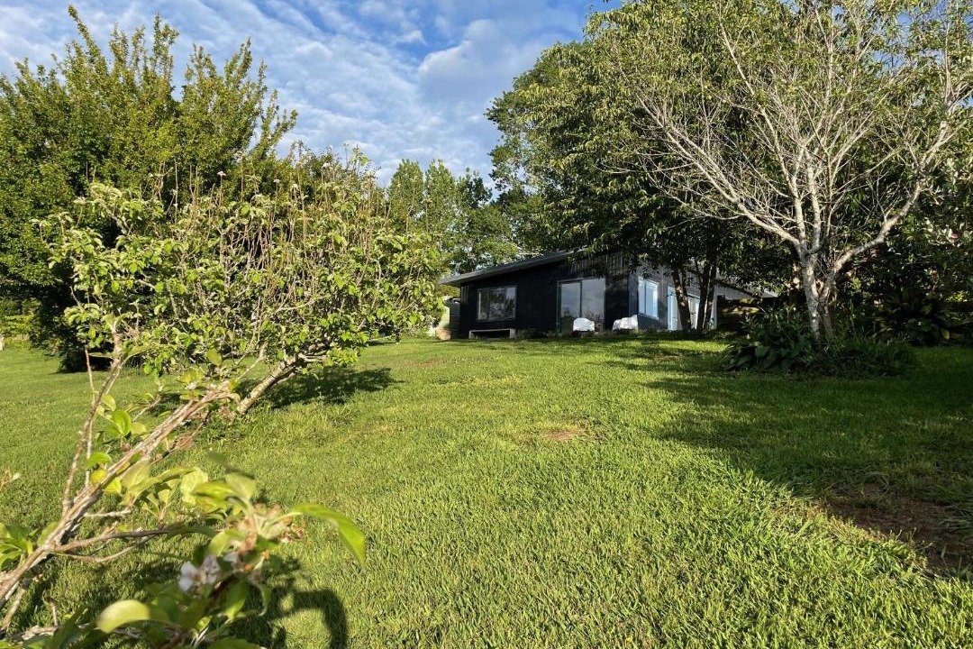 Photo of Others in Matakana