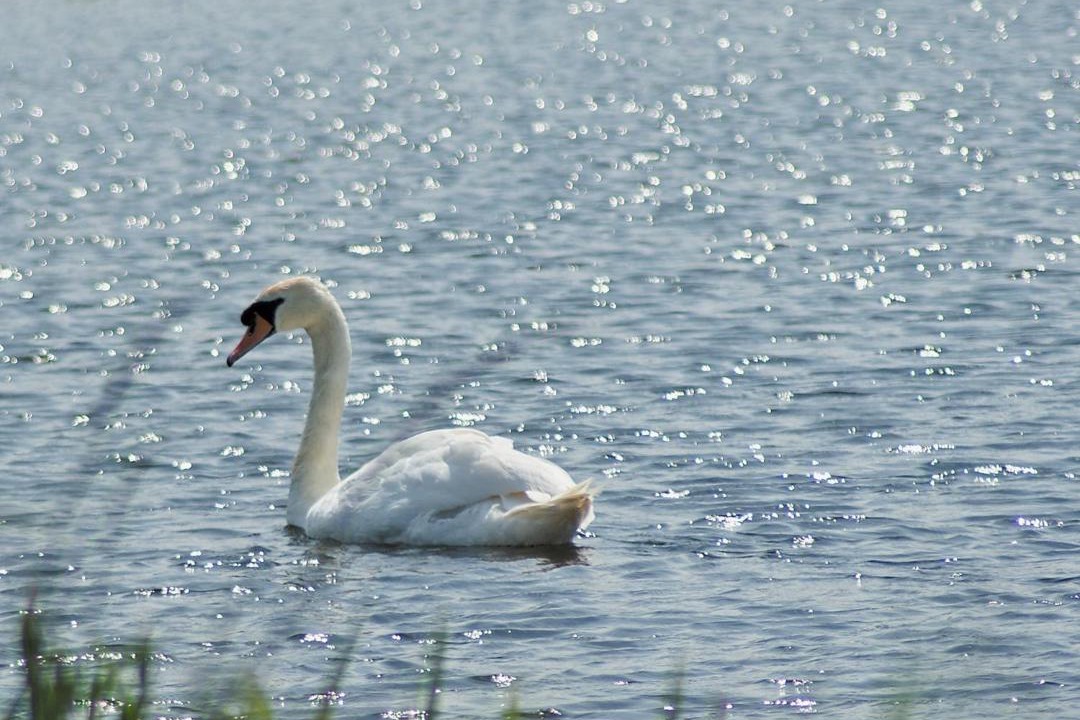 Photo of Others in Ferryhill