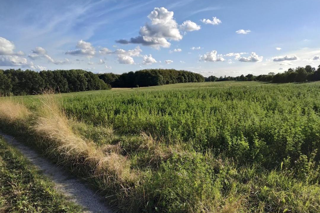 Photo of Others in Rudersdal Kommune