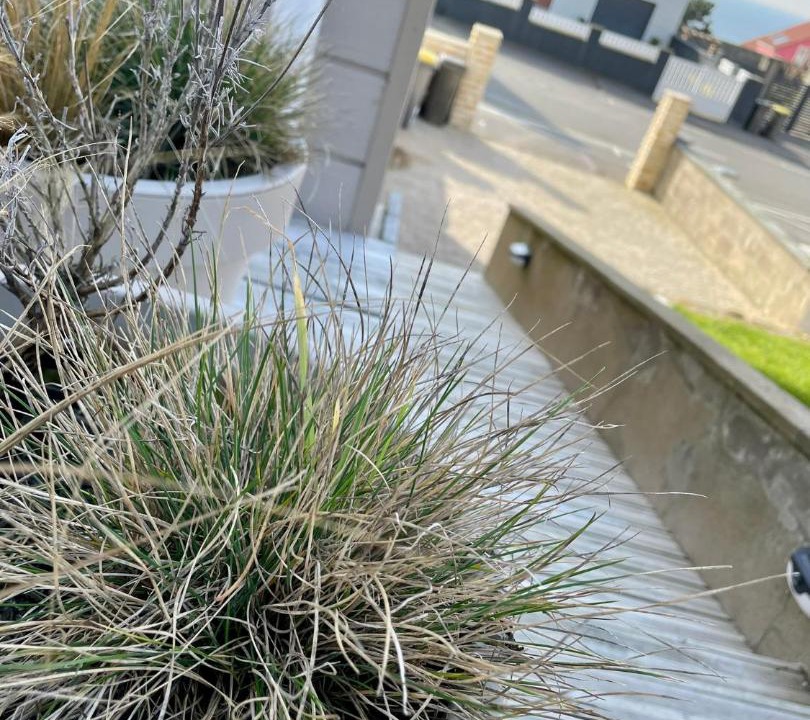 Photo of Others in Equihen-Plage