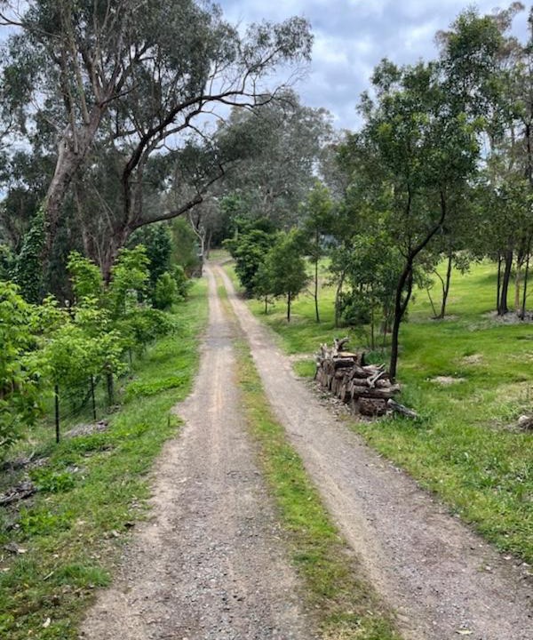 Photo of Others in Warrandyte