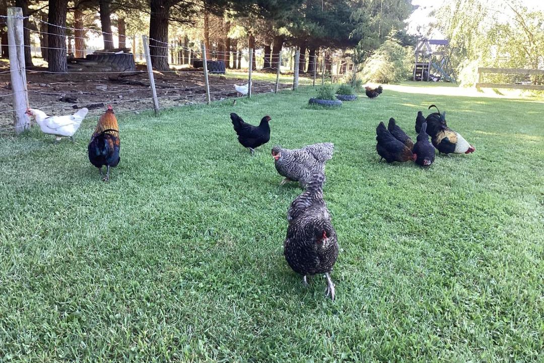 Photo of Outdoor in Mount Olympus Ski Field