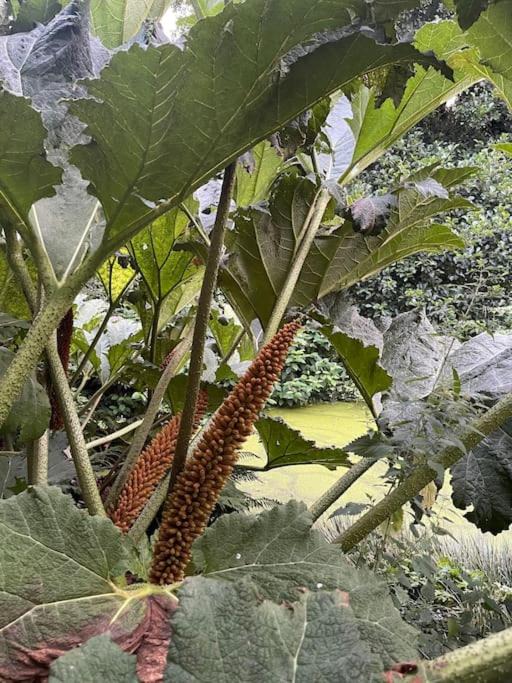 Photo of Others in Saltash