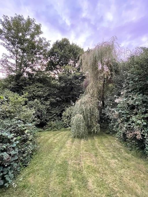 Photo of Others in Saltash