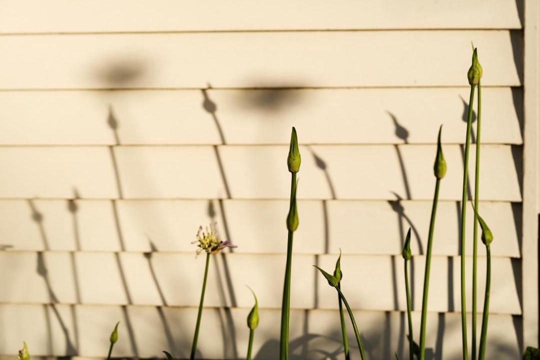 Photo of Others in Maleny