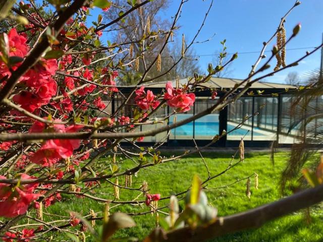 Photo of Others in Marsais