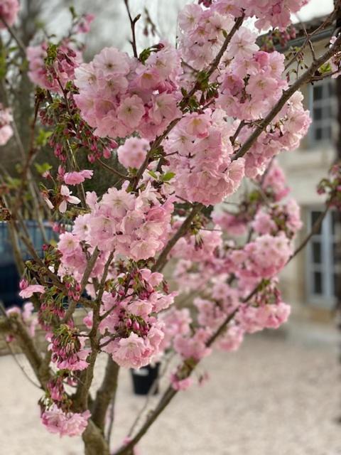 Photo of Outdoor in Marsais