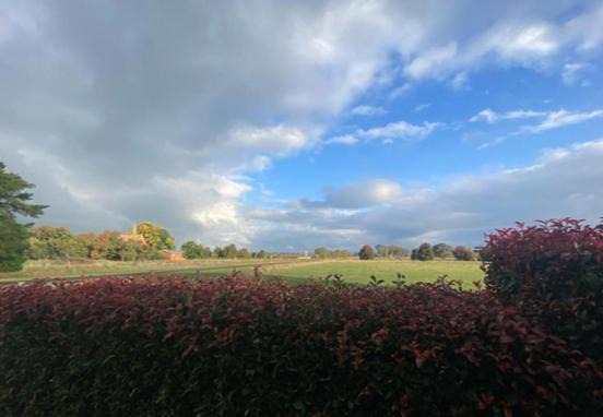 Photo of Others in Milawa