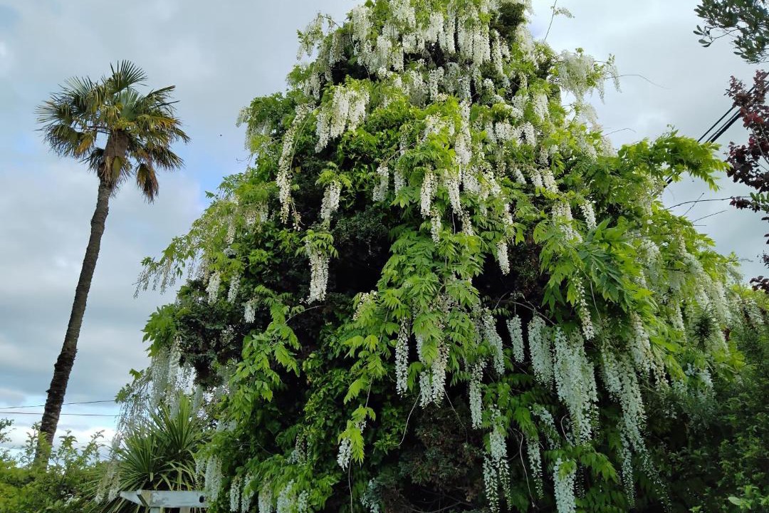 Photo of Outdoor in Havelock North