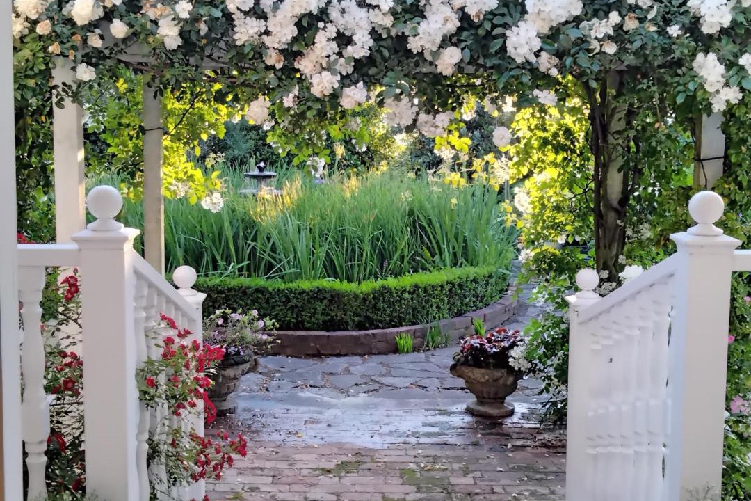 Photo of Others in Havelock North