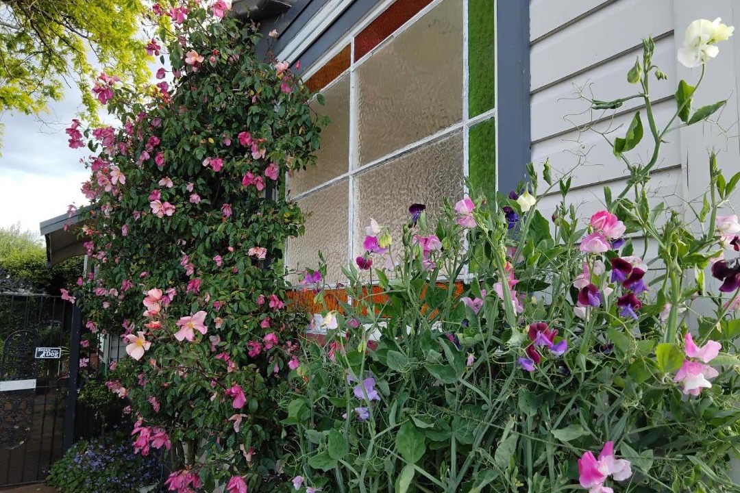 Photo of Others in Havelock North