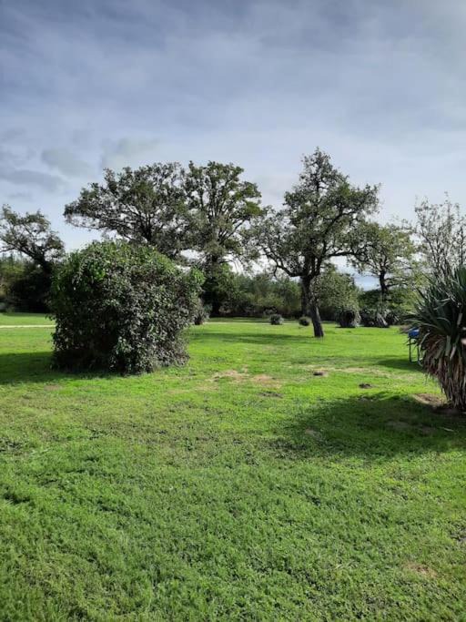 Photo of Others in Arthon