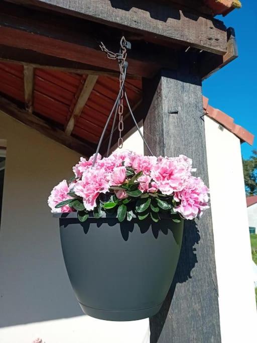 Photo of Others in Arthon