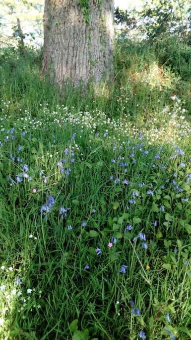 Photo of Outdoor in Arthon