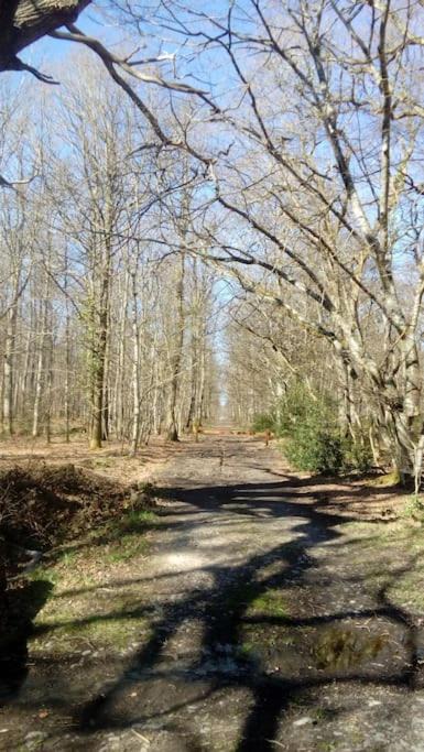 Photo of Others in Arthon