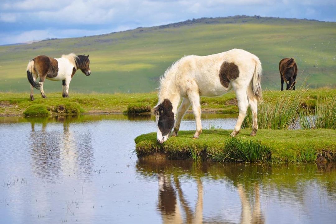 Photo of Others in Saint Ann's Chapel