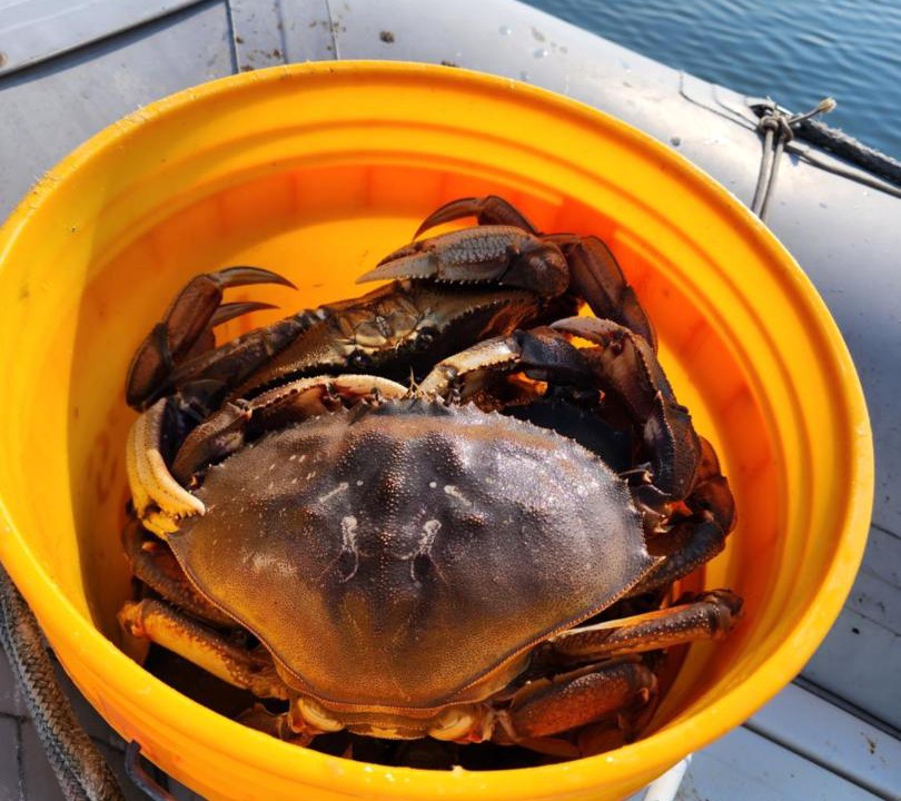 Photo of Others in Warm Beach