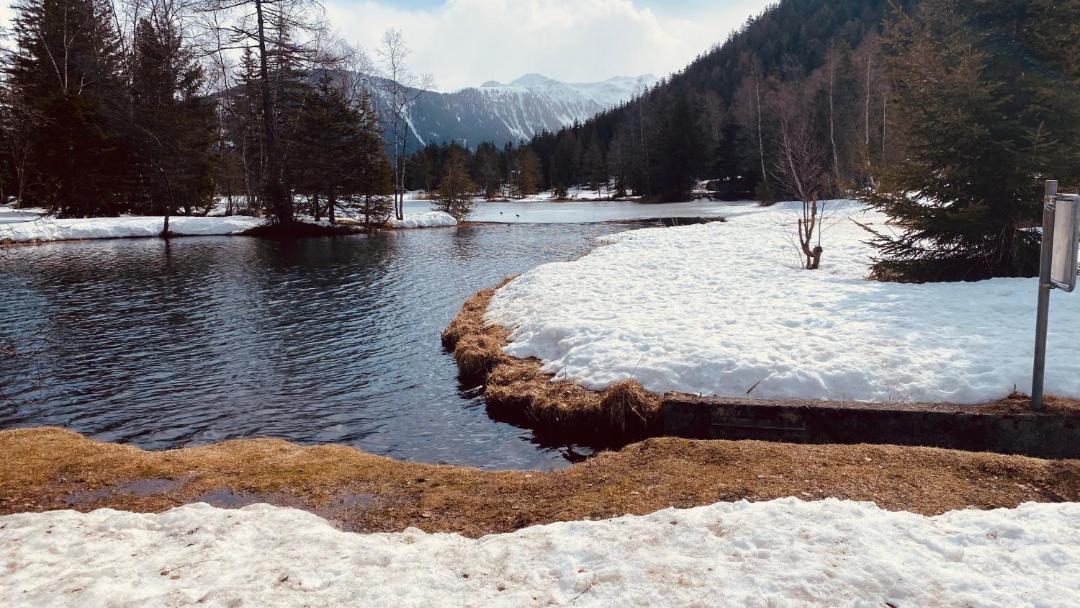Photo of Others in Champex-Lac