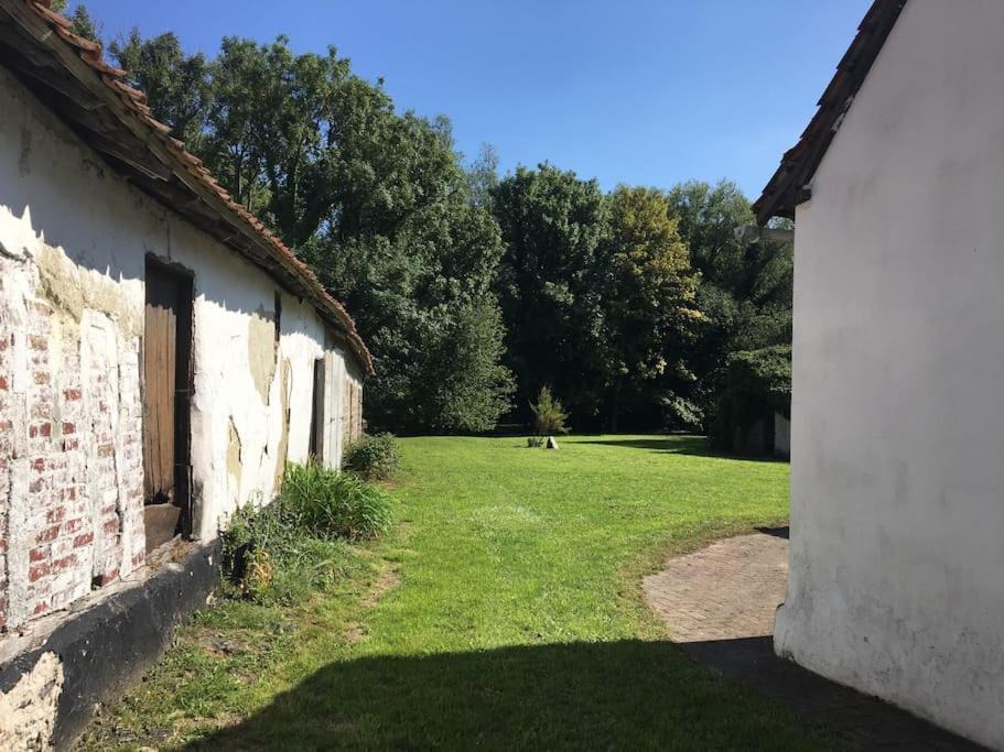 Photo of Others in Rue