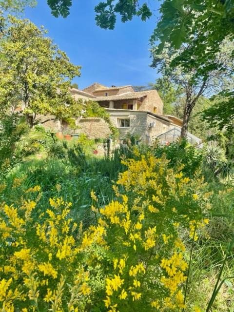 Photo of Others in Sabran