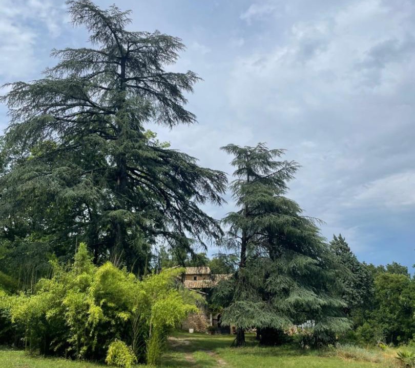 Photo of Others in Sabran