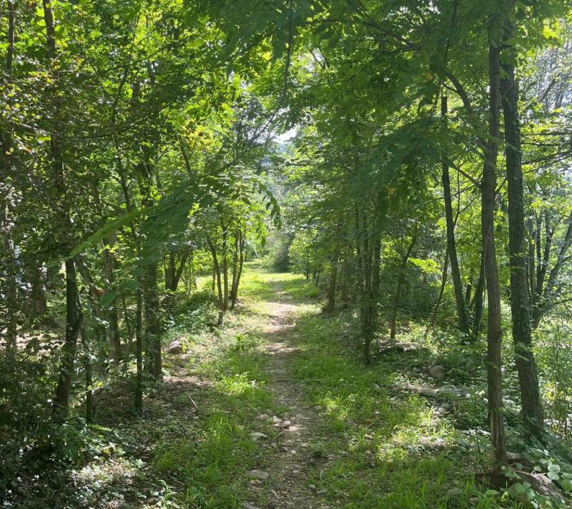 Photo of Outdoor in Tournon-sur-Rhone