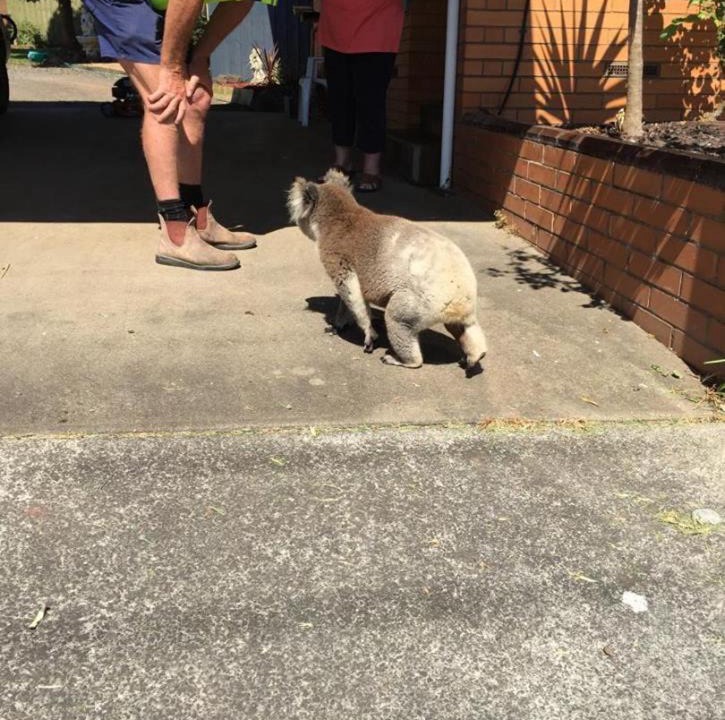 Photo of Others in Portland