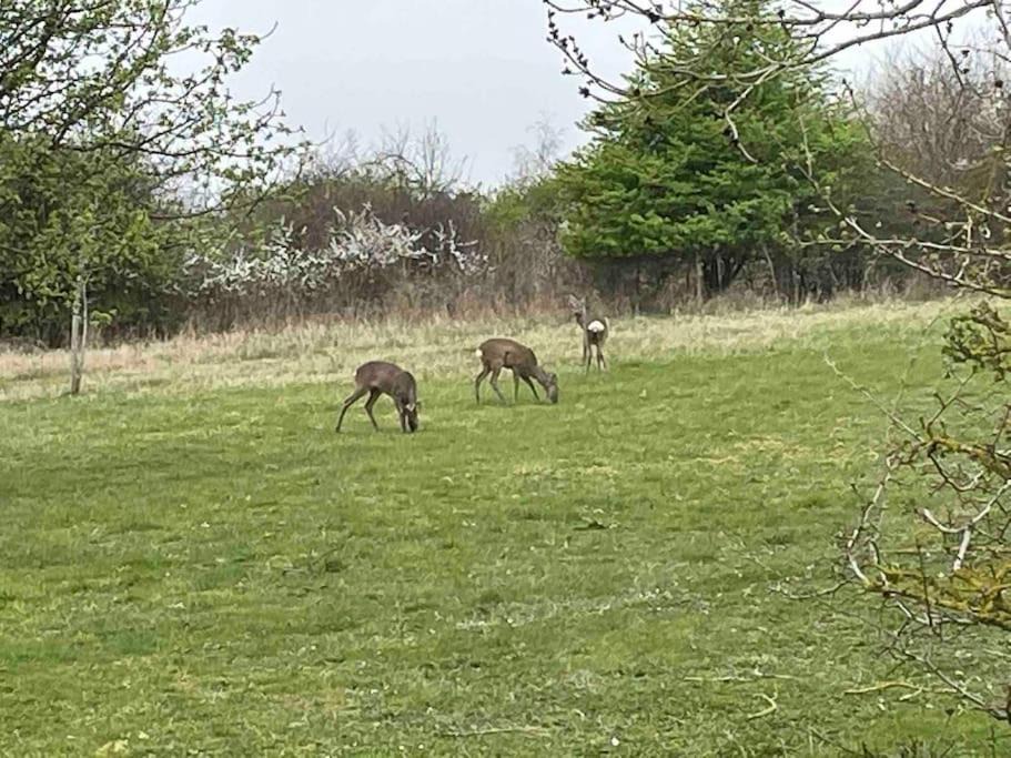 Photo of Outdoor in Ardens Grafton