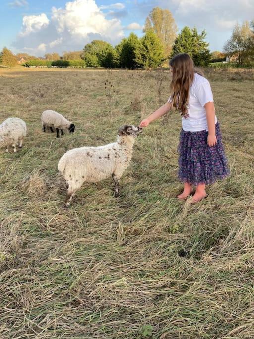 Photo of Others in Ardens Grafton