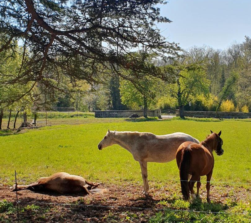 Photo of Others in Saint-Benoit