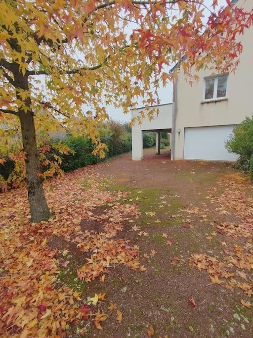 Photo of Others in Aze