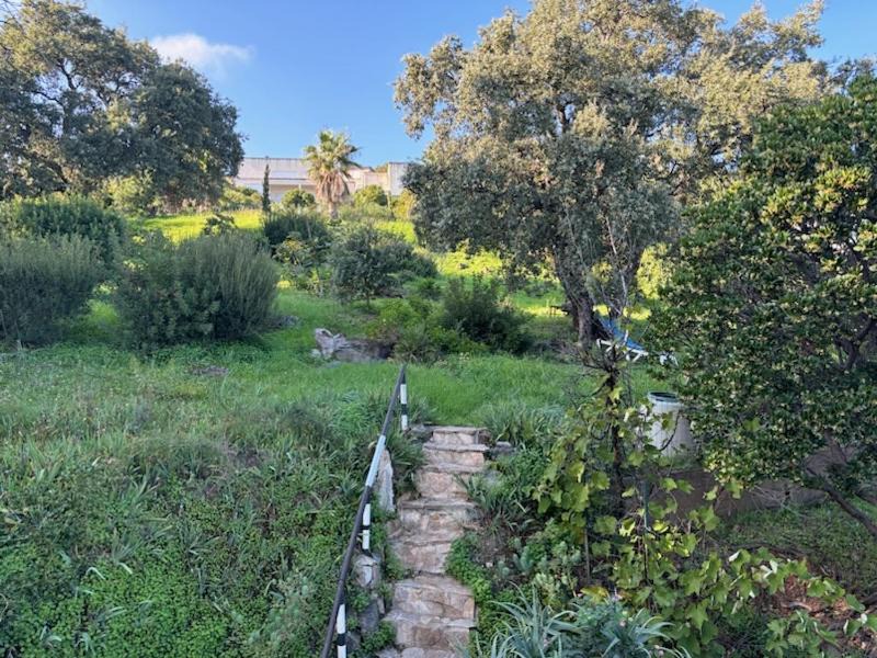 Photo of Others in Figarella